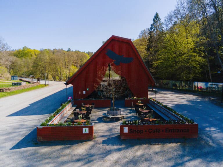 Eriksberg shop och café i naturskön miljö med träd och blå himmel.